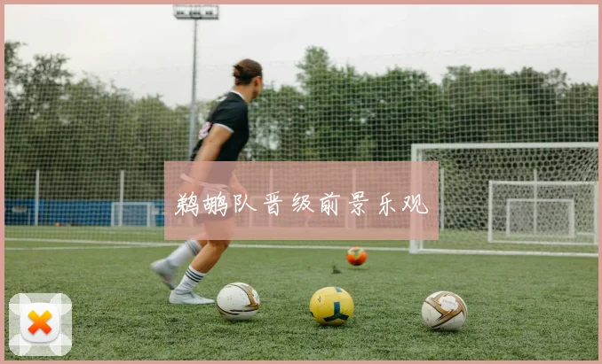 鹈鹕队晋级前景乐观