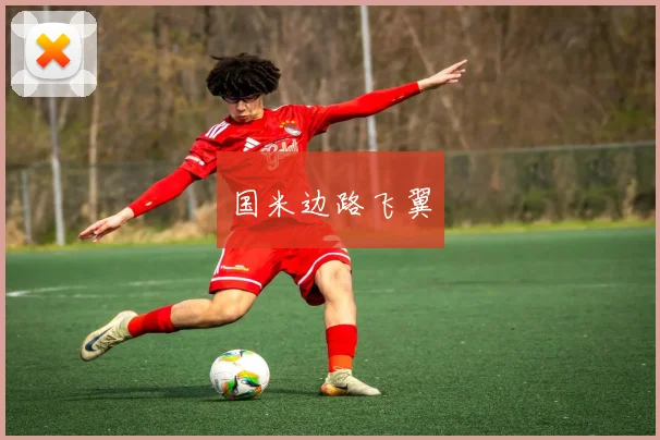 国米边路飞翼