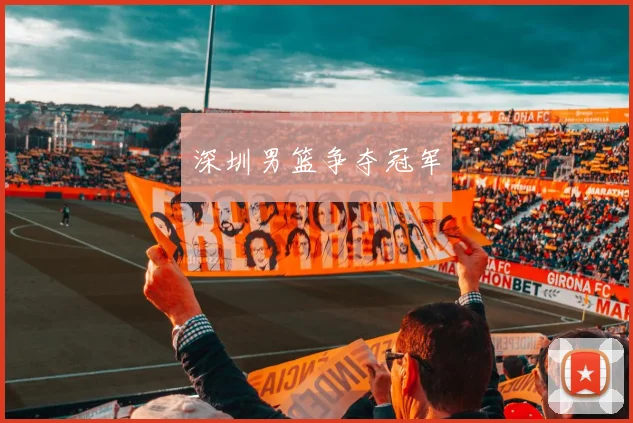 深圳男篮争夺冠军