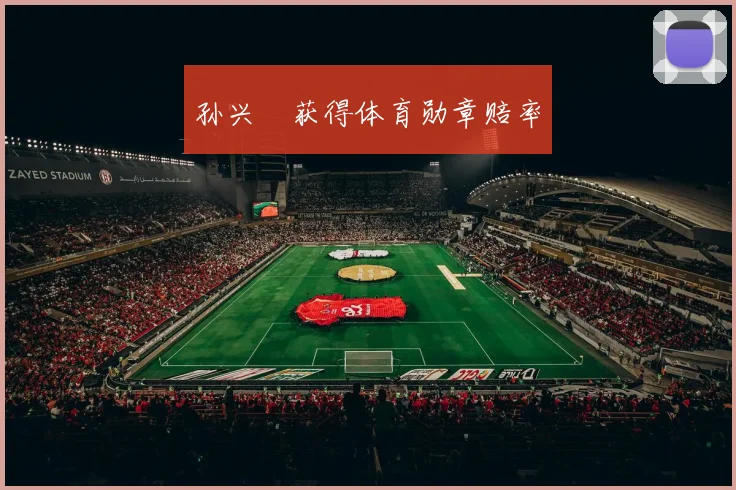 孙兴慜获得体育勋章赔率