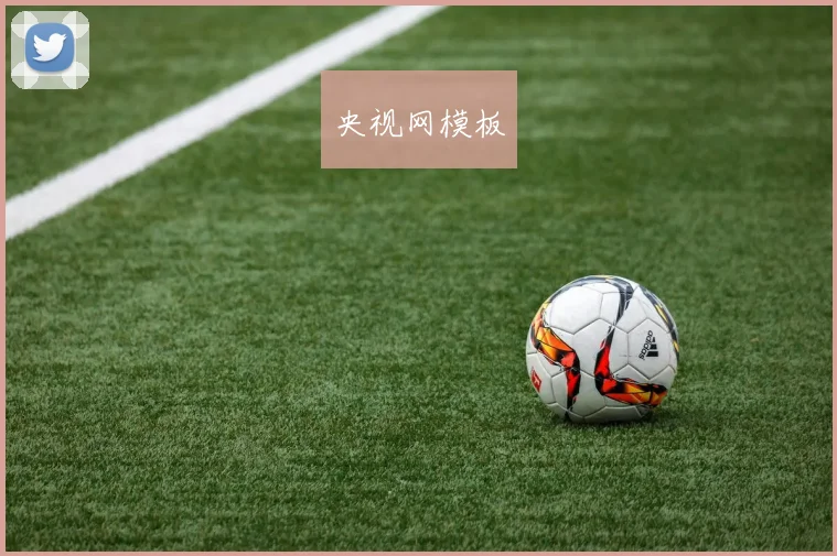 央视网模板