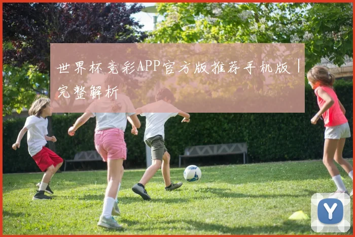 世界杯竞彩APP官方版推荐手机版｜完整解析