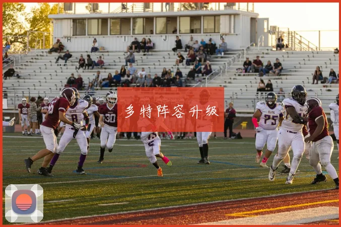 多特阵容升级