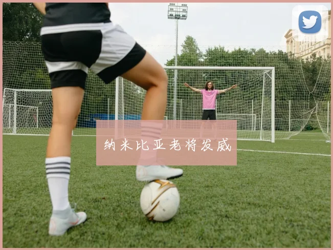 纳米比亚老将发威