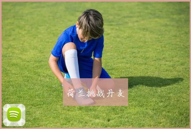 荷兰挑战丹麦