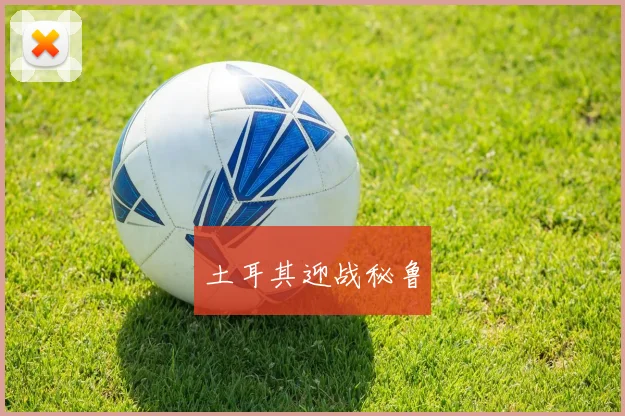 土耳其迎战秘鲁
