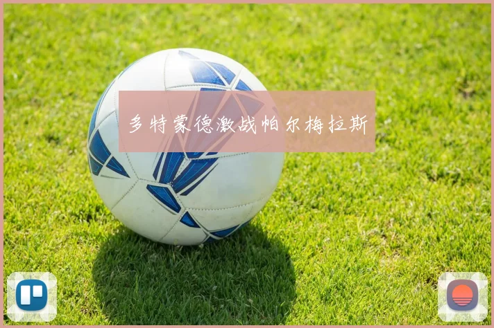多特蒙德激战帕尔梅拉斯