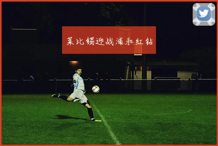莱比锡迎战浦和红钻