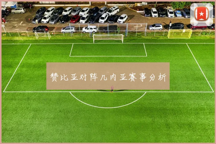 赞比亚对阵几内亚赛事分析
