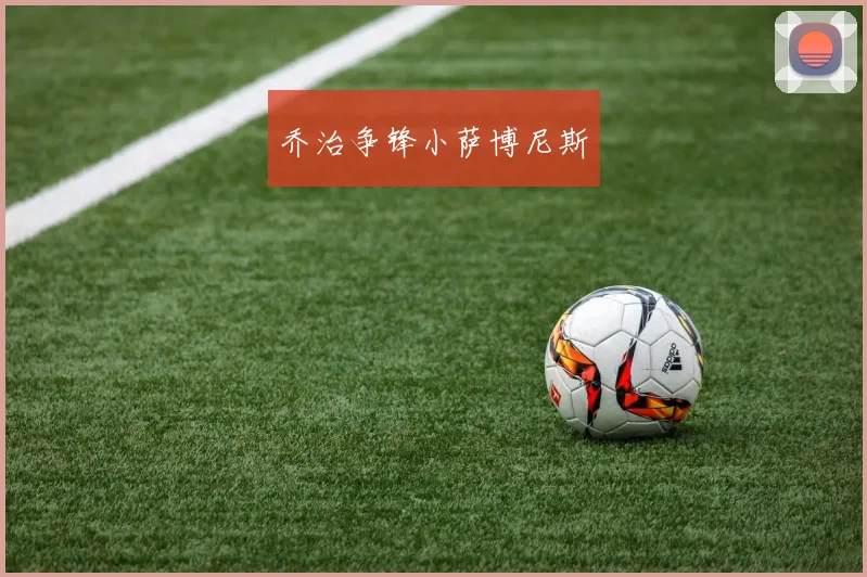 乔治争锋小萨博尼斯