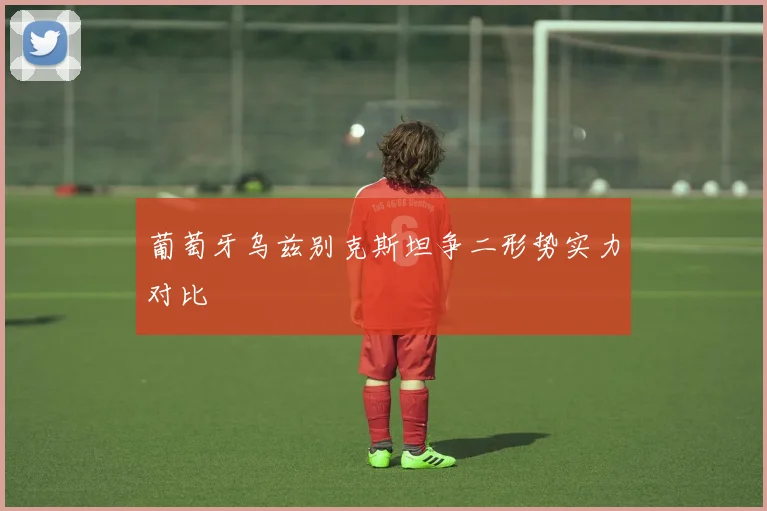 葡萄牙乌兹别克斯坦争二形势实力对比