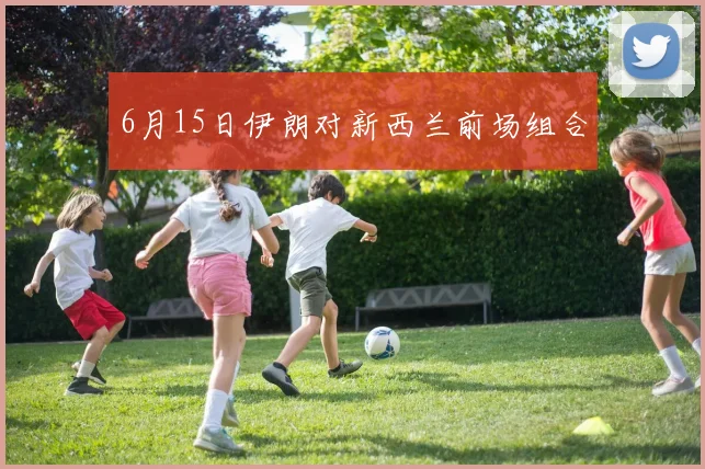6月15日伊朗对新西兰前场组合