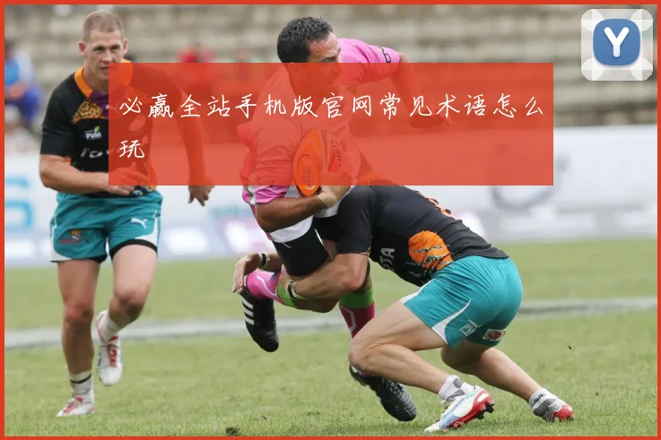 必赢全站手机版官网常见术语怎么玩