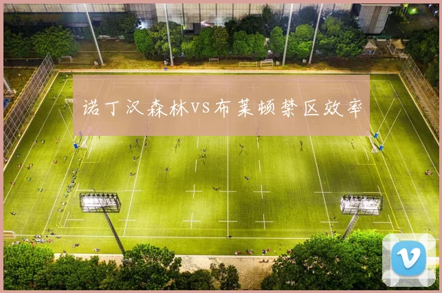 诺丁汉森林vs布莱顿禁区效率