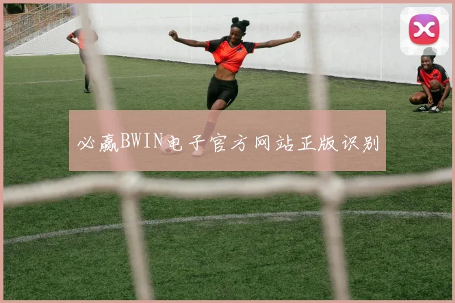 必赢BWIN电子官方网站正版识别