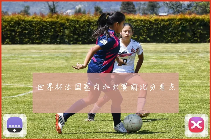 世界杯法国塞内加尔赛前比分看点